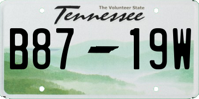 TN license plate B8719W