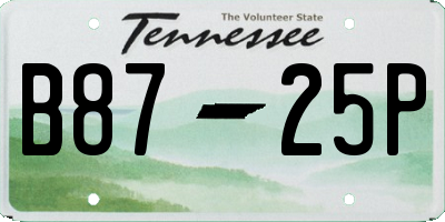 TN license plate B8725P