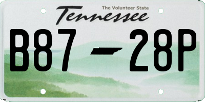 TN license plate B8728P