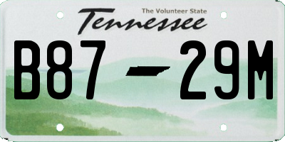 TN license plate B8729M