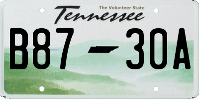 TN license plate B8730A