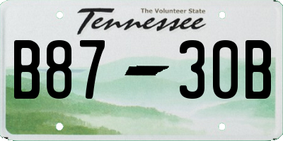 TN license plate B8730B
