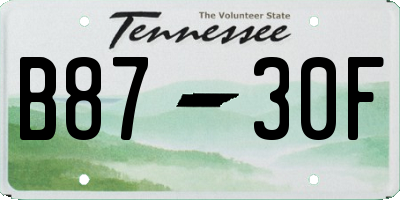 TN license plate B8730F