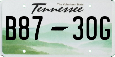 TN license plate B8730G