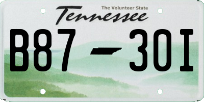 TN license plate B8730I