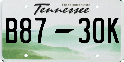 TN license plate B8730K