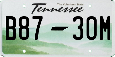 TN license plate B8730M