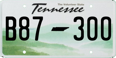 TN license plate B8730O