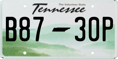 TN license plate B8730P