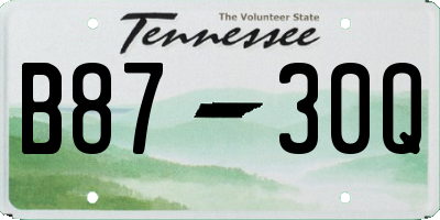 TN license plate B8730Q