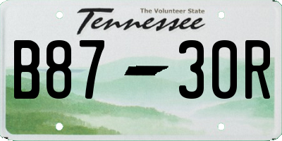 TN license plate B8730R
