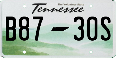 TN license plate B8730S