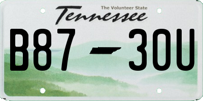 TN license plate B8730U