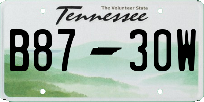 TN license plate B8730W