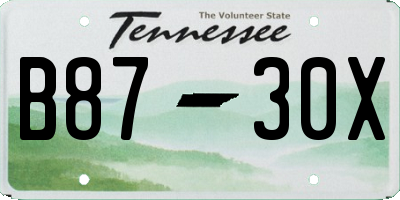 TN license plate B8730X