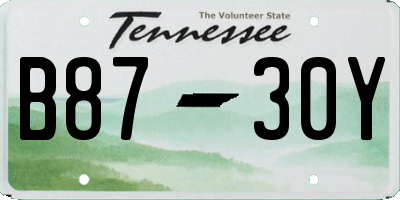 TN license plate B8730Y