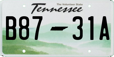 TN license plate B8731A