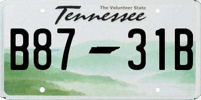 TN license plate B8731B
