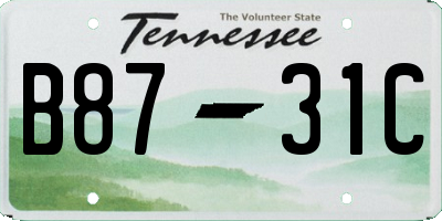 TN license plate B8731C