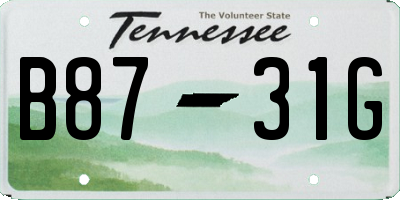 TN license plate B8731G