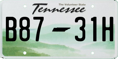 TN license plate B8731H