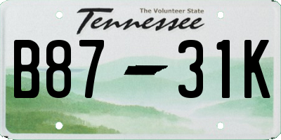 TN license plate B8731K
