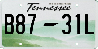 TN license plate B8731L