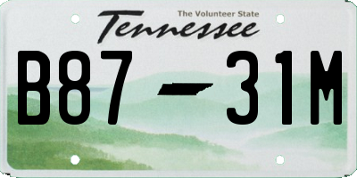 TN license plate B8731M
