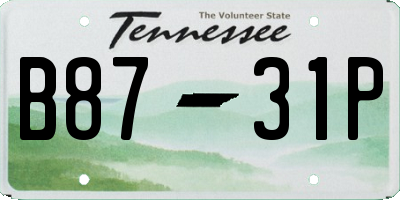 TN license plate B8731P