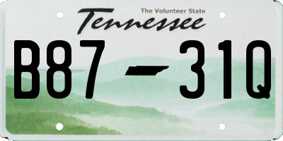 TN license plate B8731Q