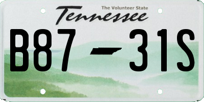 TN license plate B8731S