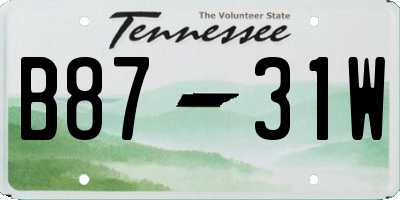 TN license plate B8731W