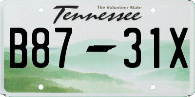 TN license plate B8731X