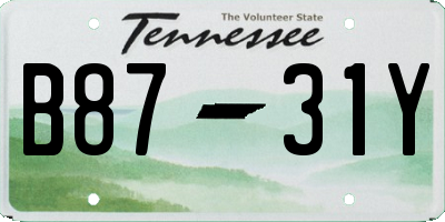 TN license plate B8731Y