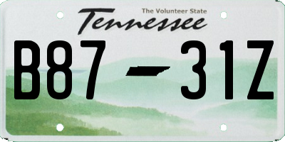 TN license plate B8731Z