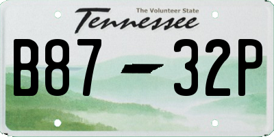 TN license plate B8732P