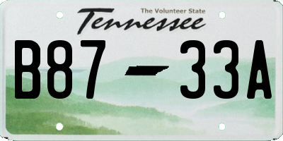 TN license plate B8733A