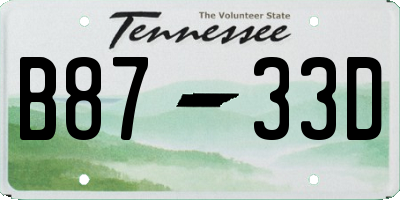 TN license plate B8733D
