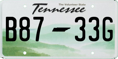 TN license plate B8733G