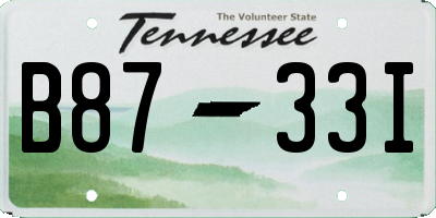TN license plate B8733I