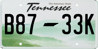 TN license plate B8733K