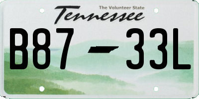 TN license plate B8733L