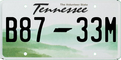 TN license plate B8733M