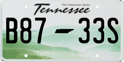 TN license plate B8733S