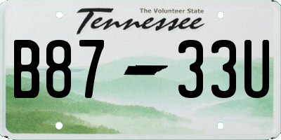 TN license plate B8733U