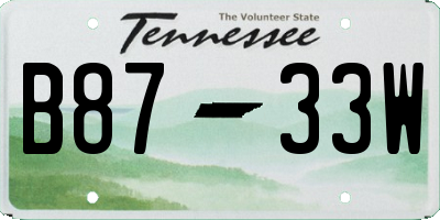 TN license plate B8733W