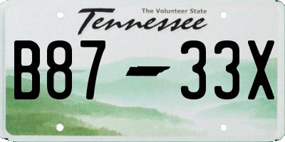 TN license plate B8733X