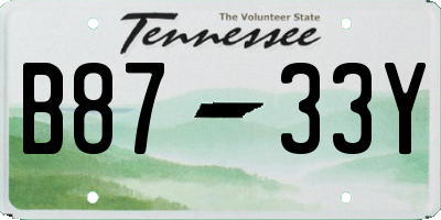 TN license plate B8733Y