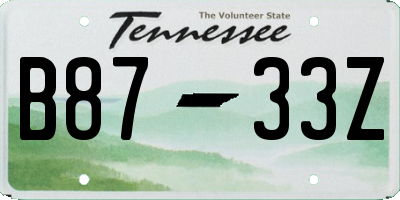 TN license plate B8733Z