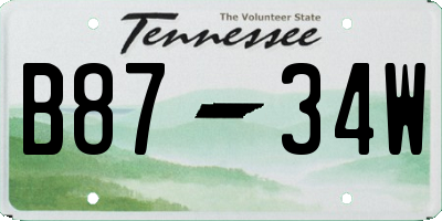 TN license plate B8734W